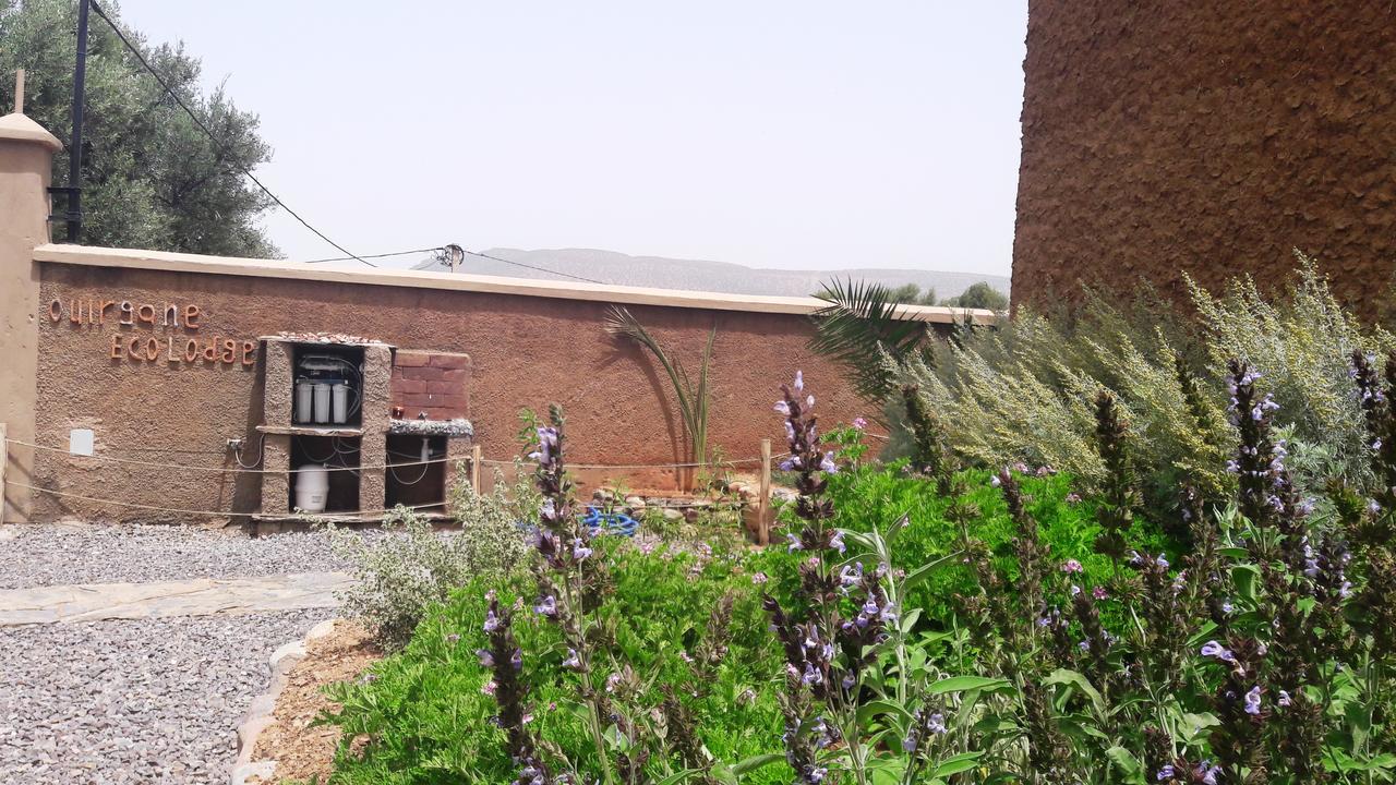 Ouirgane Ecolodge Bagian luar foto