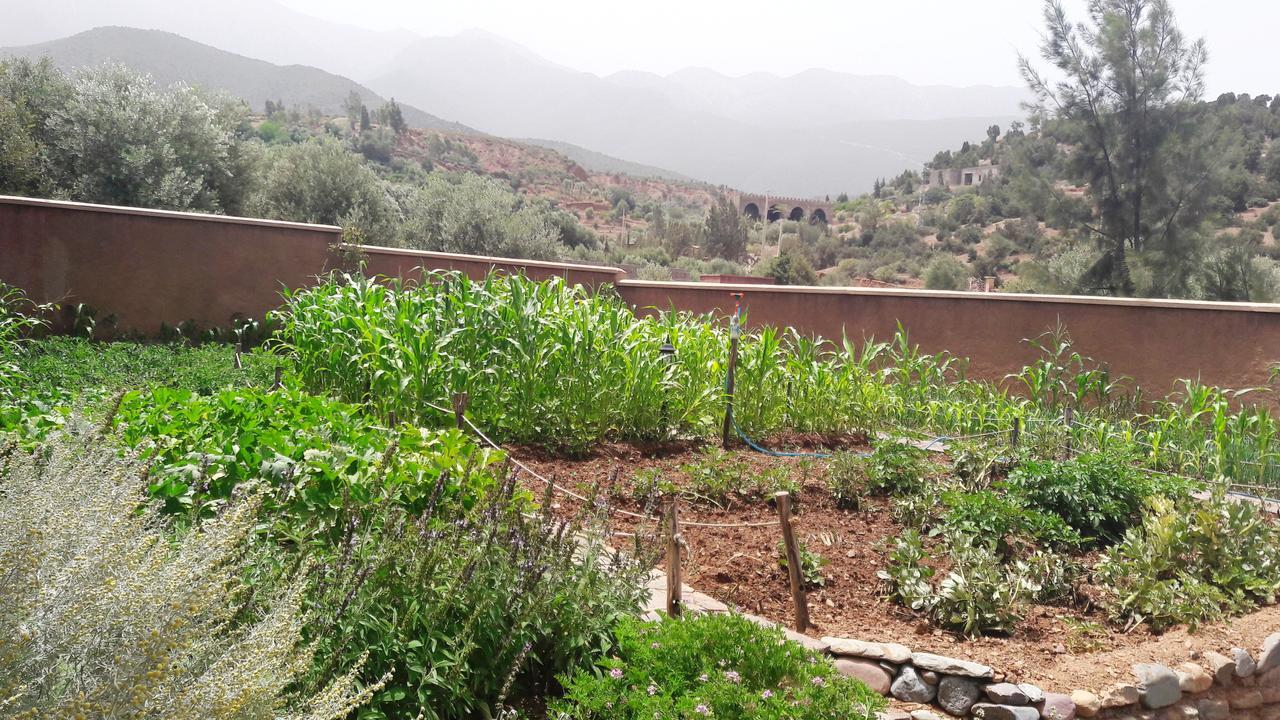 Ouirgane Ecolodge Bagian luar foto